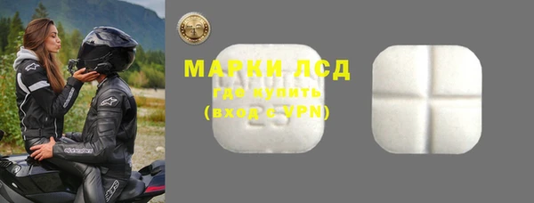 гидропоника Болотное